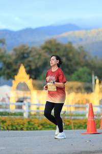 BIB: 
                            <button type="button" onclick="openModal(27886635)" class="btn btn-primary btn-sm float-right btn-popup" data-toggle="modal" data-target=".modal-high-quality">
                        <i class="fas fa-shopping-cart"></i> Add to Cart
                    </button>
                                            <button type="button" onclick="isThisMe(27886635, true)" class="btn btn-success btn-sm float-right btn-popup btn-isme hidden" data-toggle="tooltip" data-placement="bottom" title="นี่คือรูปของคุณใช่ไหม คลิกที่นี่เพื่อเอาเข้าอัลบั้ม">
                        <i class="fas fa-plus"></i> Add to album
                    </button>
                    <button type="button" onclick="isThisMe(27886635, false)" class="btn btn-warning btn-sm float-right btn-popup btn-isnotme hidden">
                        <i class="fas fa-ban"></i> Remove from album
                    </button>